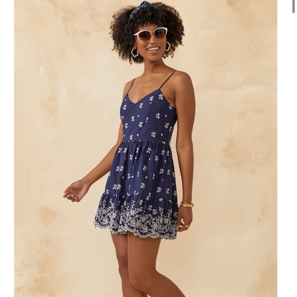 Francesca’s Kacey Embroidered Fit and Flare Mini dress